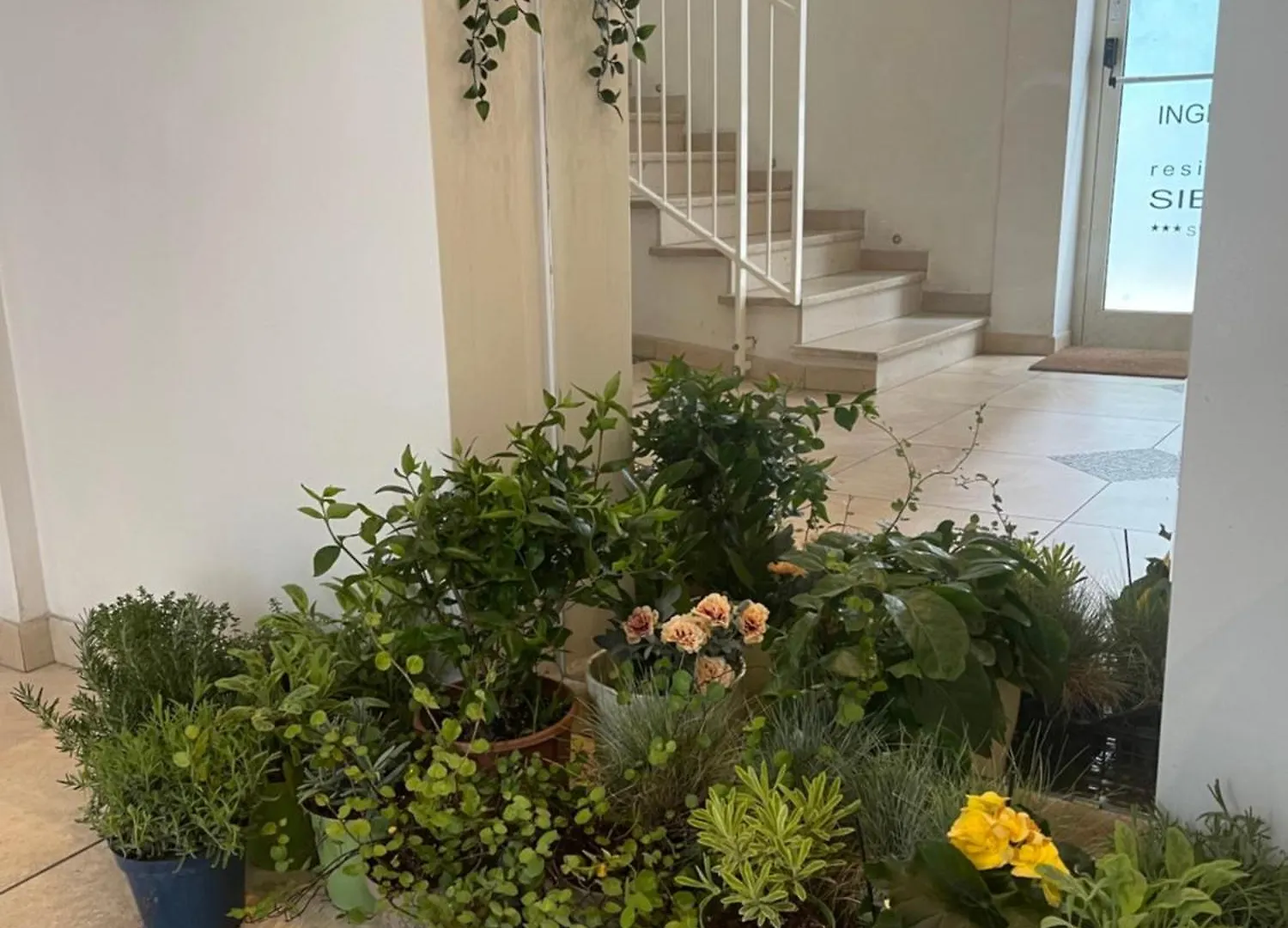Residence Siesta Rimini 3*,